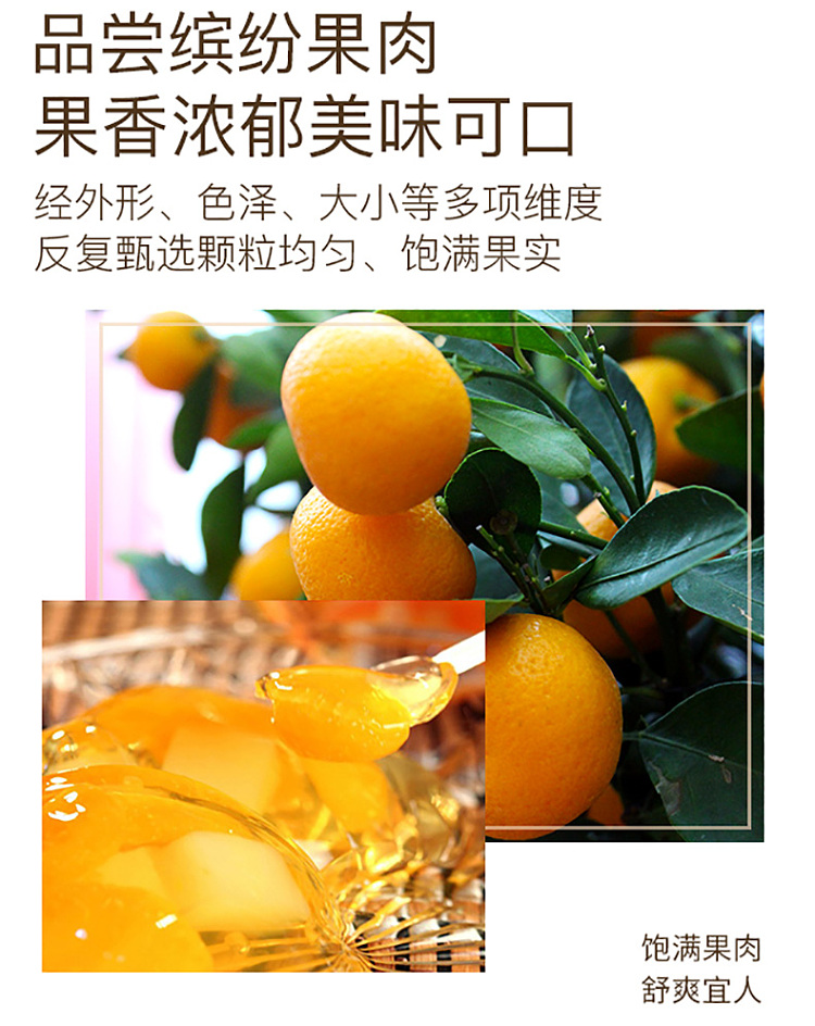 xizhang-fruit-jelly-honey-orange-200g-3