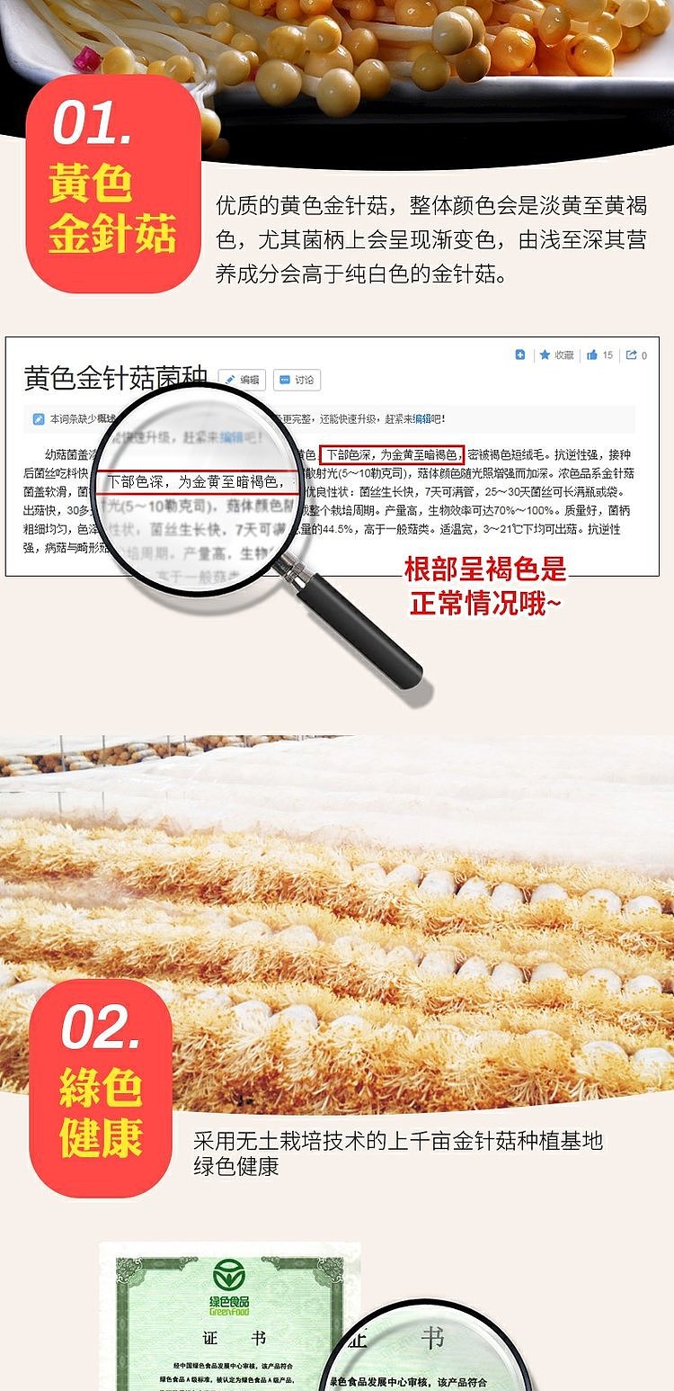 huichuan-golden-mushroom-in-red-oil-145g-5