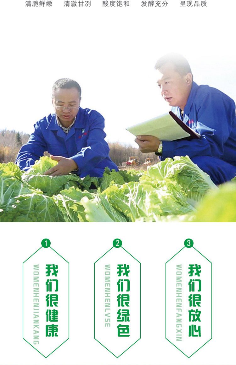 cuihua-northeast-pickled-cabbage-500g-3