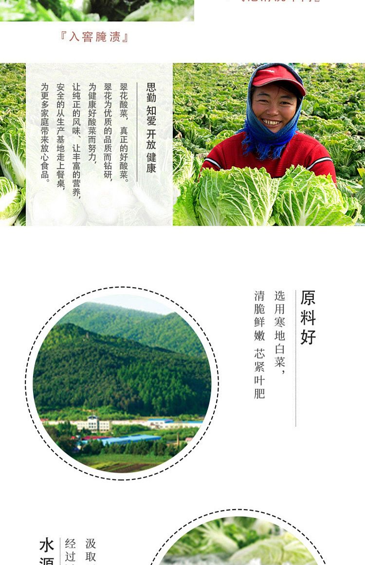 cuihua-northeast-pickled-cabbage-500g-5