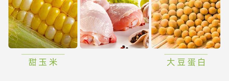 shuanghui-corn-sausage-270g-3