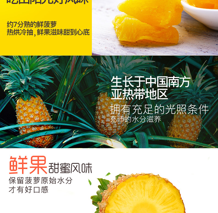 bacchus-flavor-dried-pineapple-100g-discontinued-discontinued-3