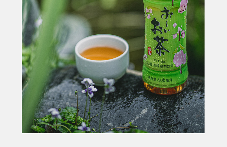 itoyama-original-green-tea-500ml-6