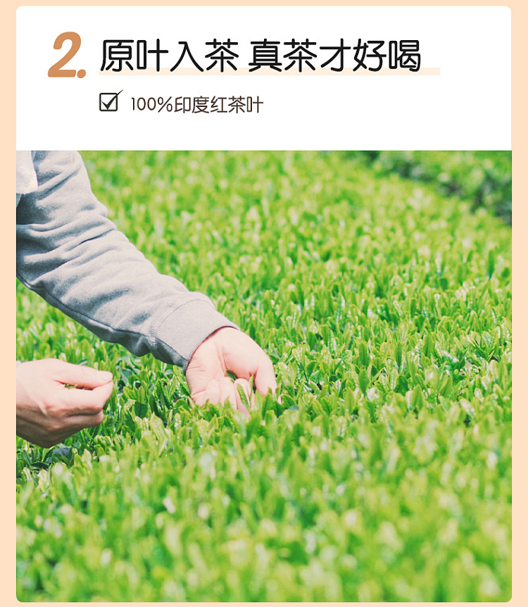 yuanqi-forest-milk-tea-jasmine-milk-green-450ml-7