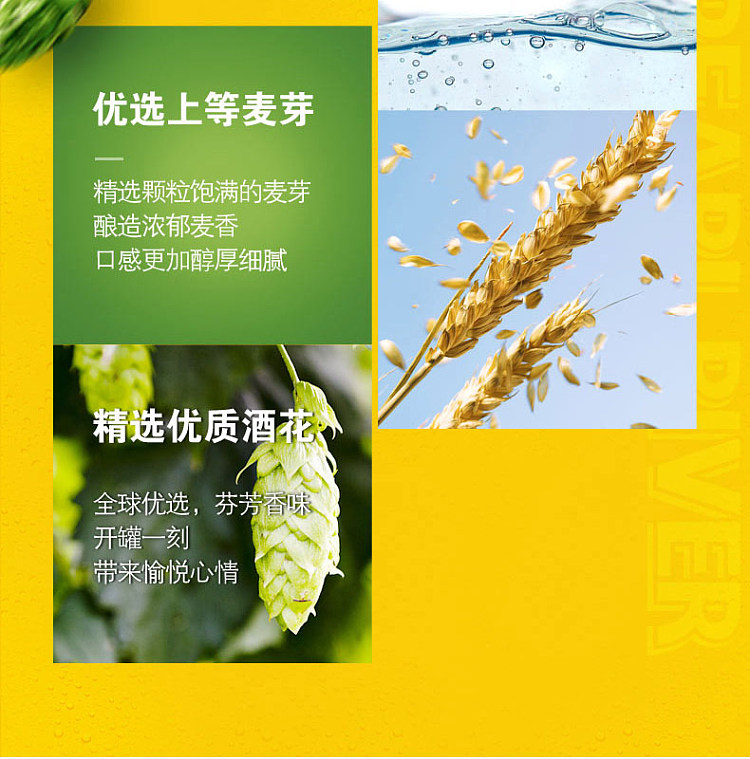 pearl-river-pineapple-beer-330ml6-cans-3
