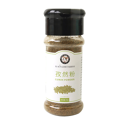 临保特惠 喵小柚 烧烤调料孜然粉 35g