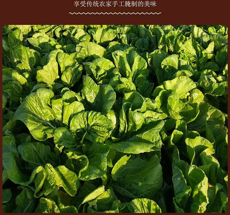 huatong-king-of-plum-and-vegetable-sweet-500g-5