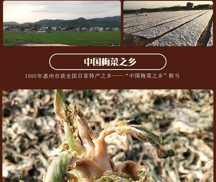 huatong-king-of-plum-and-vegetable-sweet-500g-6