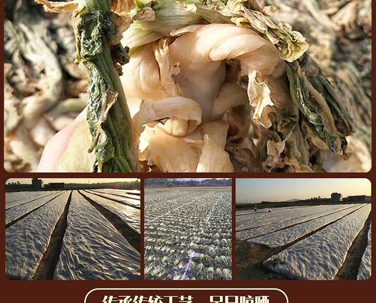 huatong-king-of-plum-and-vegetable-sweet-500g-7