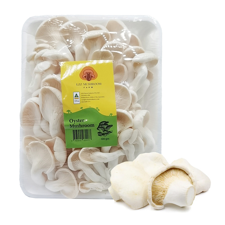 freshlzzmushroom-white-abalone-mushroom-about-400g-1