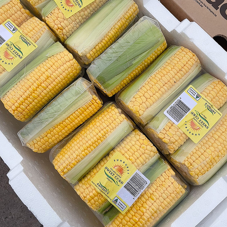 freshumall-self-supporting-husked-and-headed-corn-3pcs-set-3