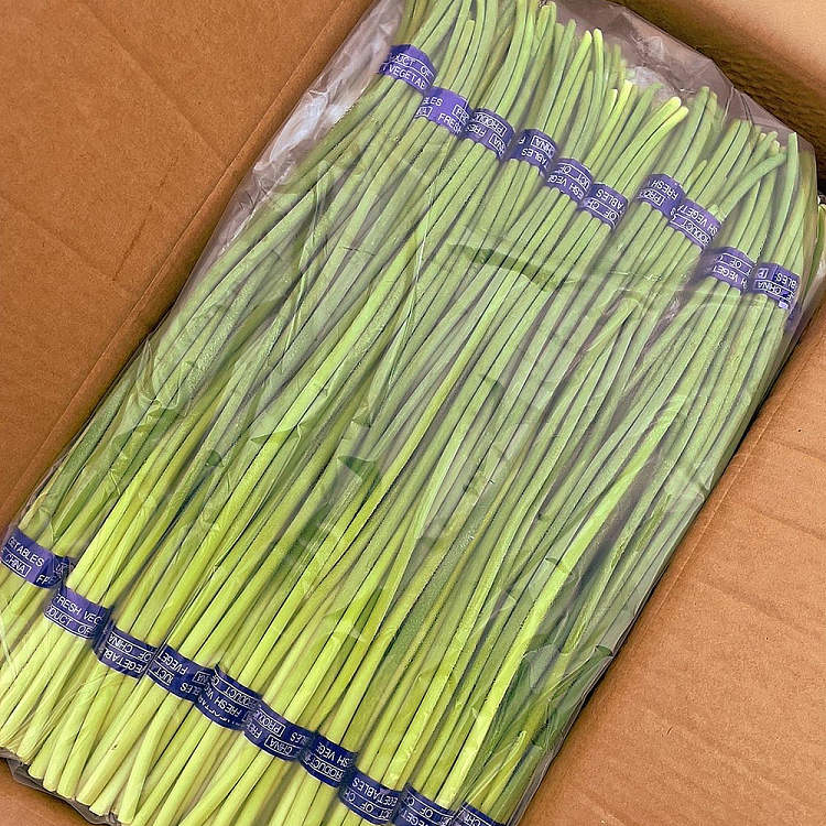 freshumalls-own-garlic-moss-1-bundle-2