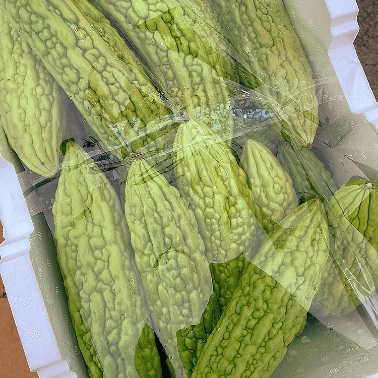 freshumalls-own-bitter-melon-about-1kg-3