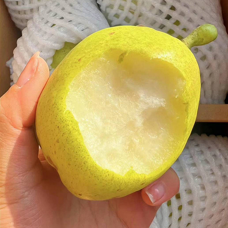 freshumall-self-supporting-china-imported-xinjiang-korla-scented-pear-about-1kg-3