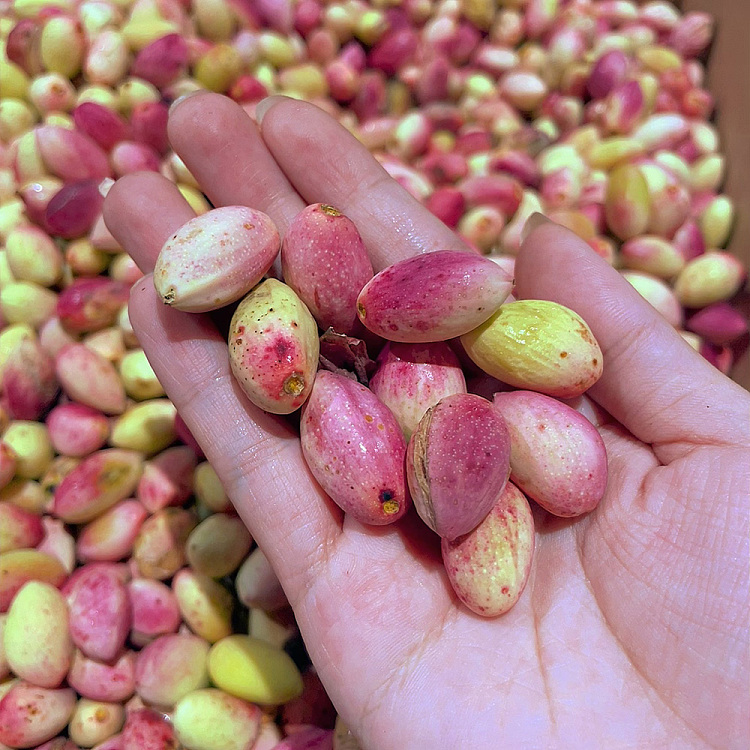 freshumall-own-fresh-pistachios-about-500g-2