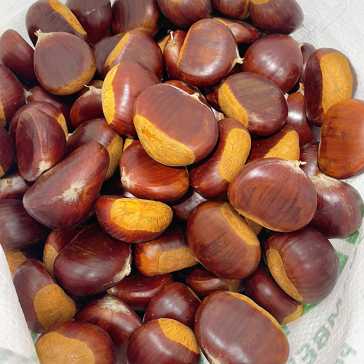 freshumall-own-chestnut-about-500g-2