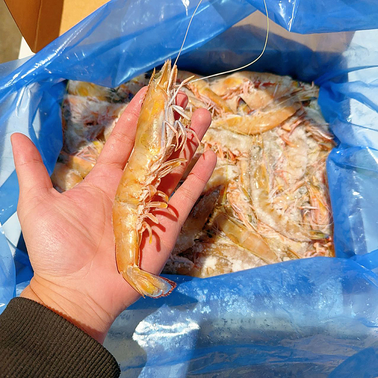 frozen-blue-tailed-king-prawn-raw-sizeml-approx-1kg-1