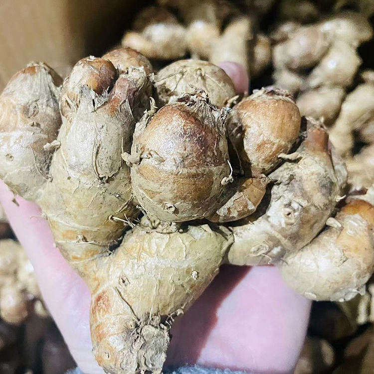 freshufresh-ginger-about-250g-1