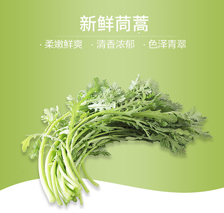 fresh-ufresh-tong-hao-chinese-celery-1-bundle-1