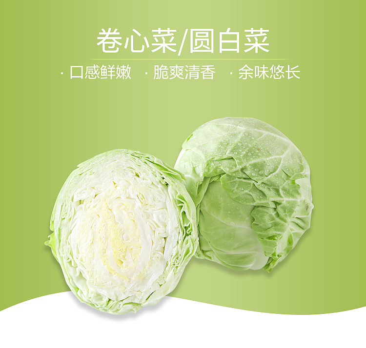 fresh-ufresh-cabbage-1-piece-1