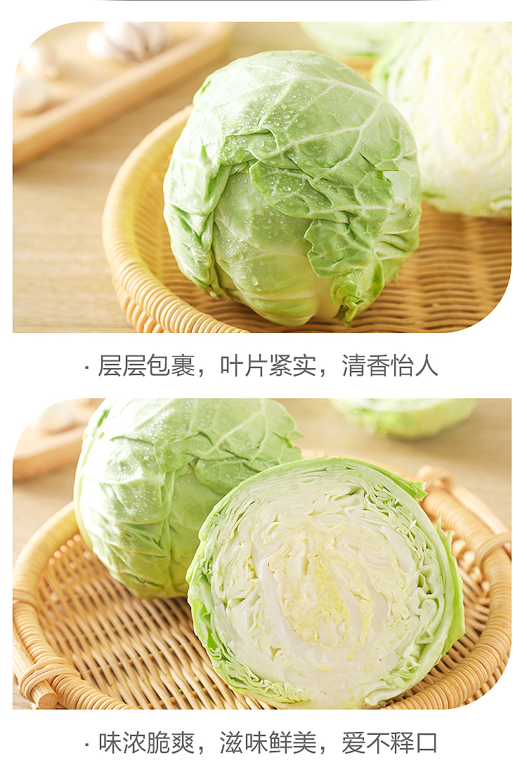 fresh-ufresh-cabbage-1-piece-3