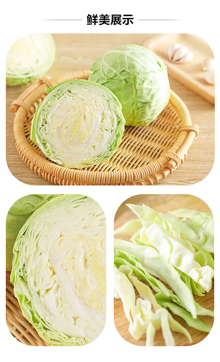 fresh-ufresh-cabbage-1-piece-5