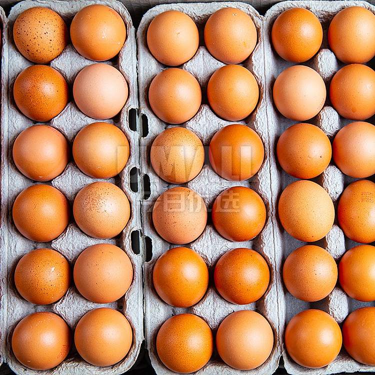 full-cartonfresh-eggs-700g-12-boxes-15-boxes-1