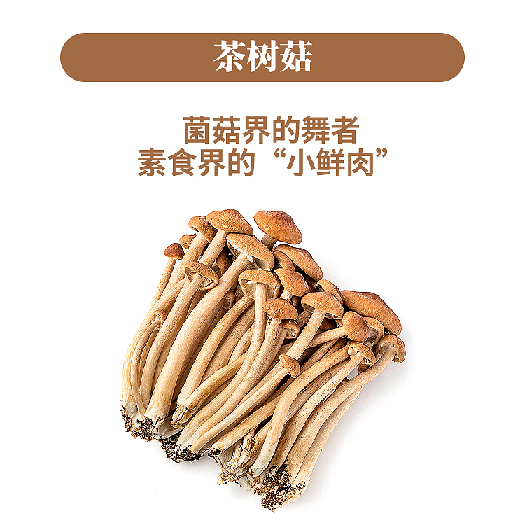 freshufresh-tea-tree-mushroom-1-box-about-100g-1