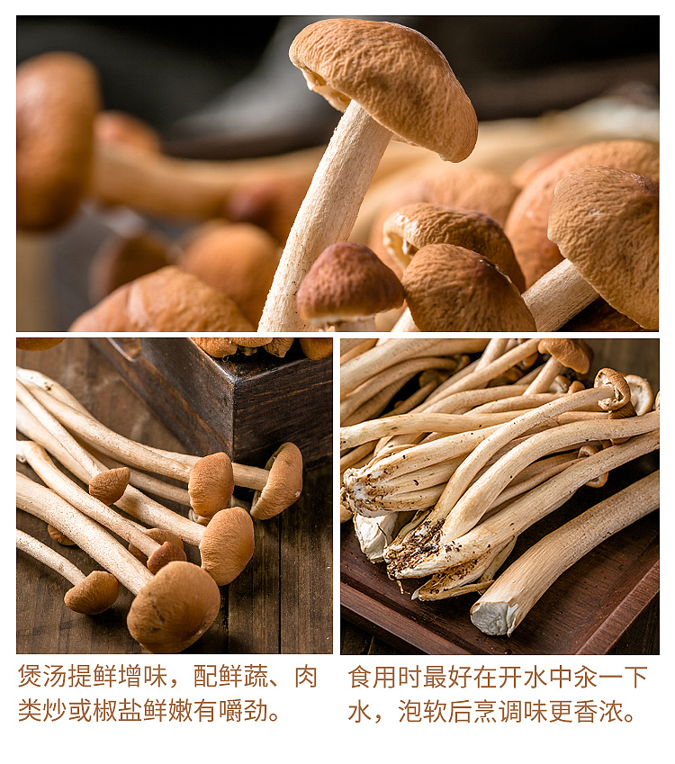 freshufresh-tea-tree-mushroom-1-box-about-100g-3