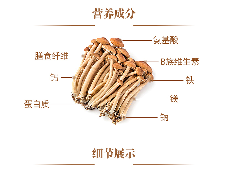 freshufresh-tea-tree-mushroom-1-box-about-100g-4