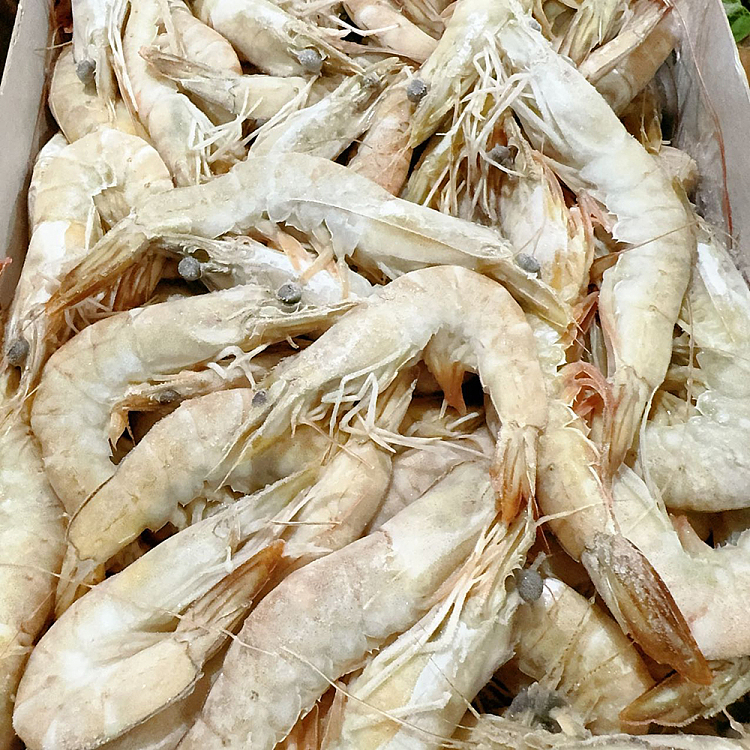 frozenmedium-size-raw-shrimp-whole-box-about-3kg-1