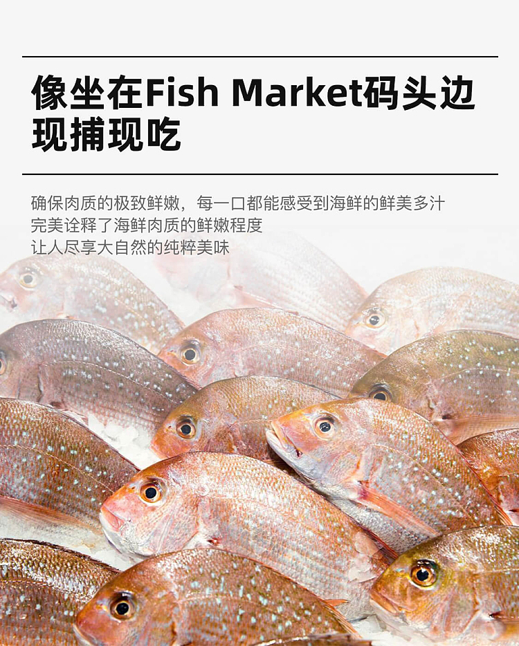 live-fresh-red-anguilla-anguilla-whole-scaled-and-gutted-snapper-before-cleaning-500-600g-3