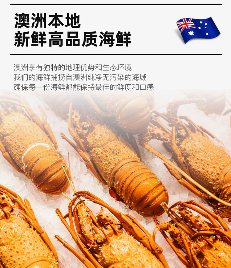 frozenwesternaustralian-lobster-cooked-lobster-2