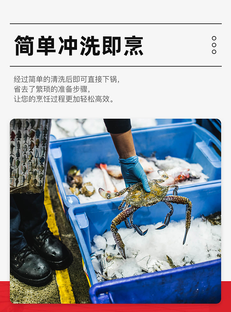 frozenwesternaustralian-lobster-cooked-lobster-4