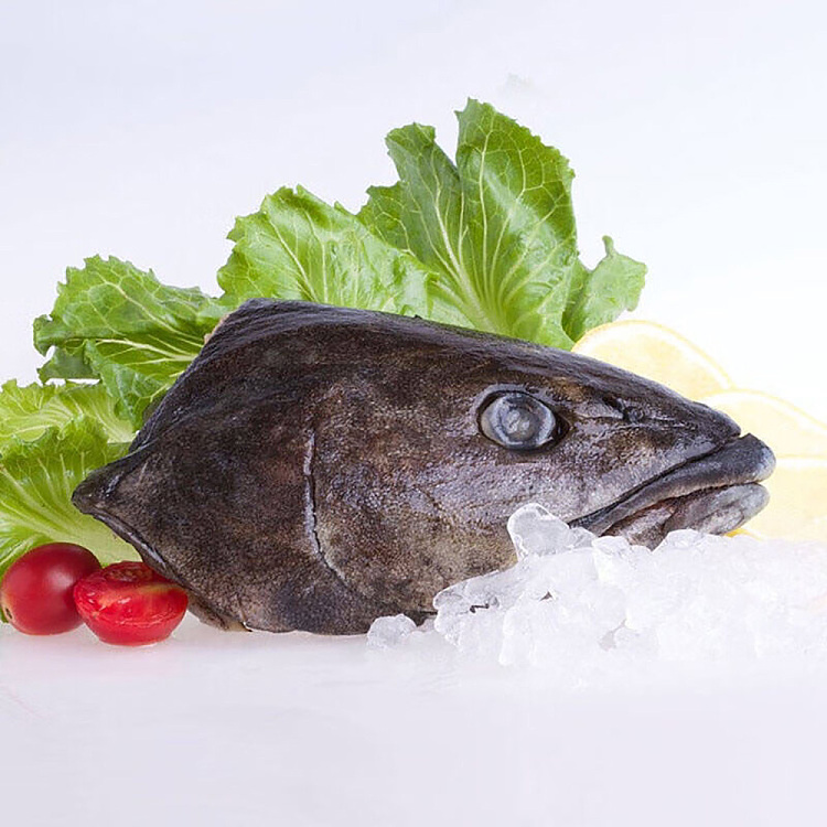 frozencod-head-glacier51toothfishhead-about-15g-1