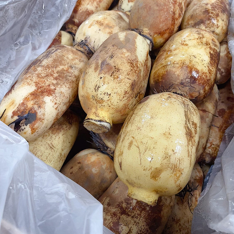 freshumall-own-fresh-lotus-root-about-600-900g-3