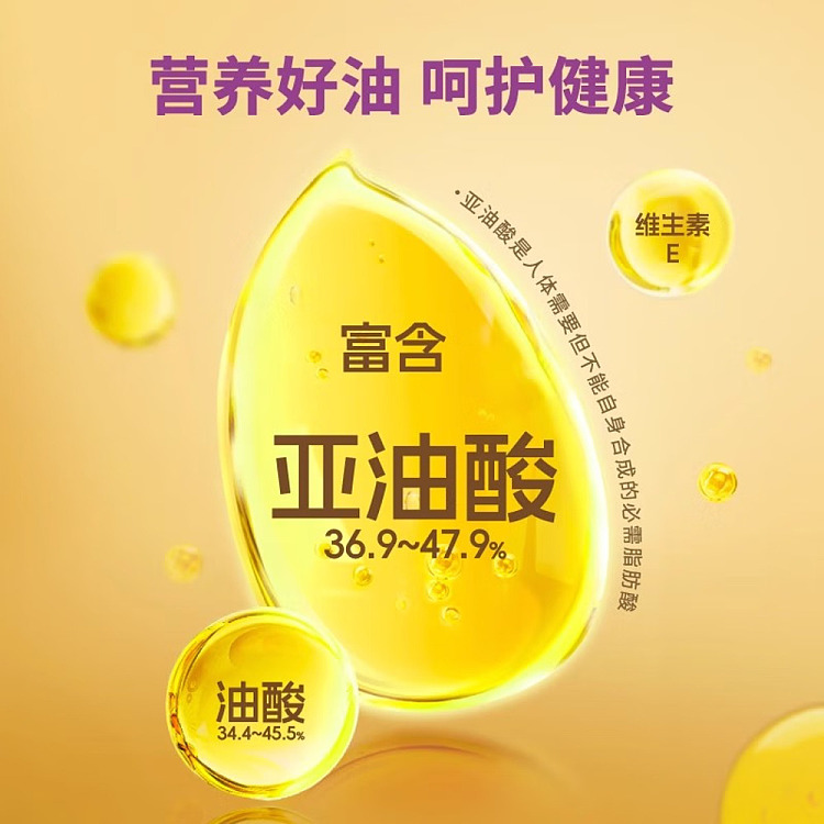 lee-kum-kee-pure-sesame-oil-410ml-2