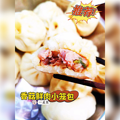 【冻】annah‘s bun 香菇鲜肉小笼包 约500g
