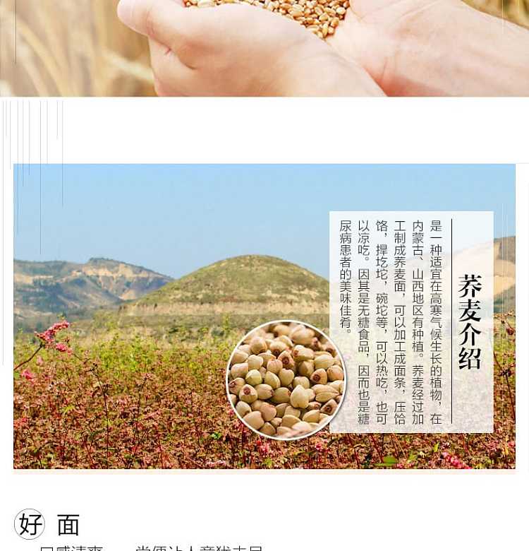 shou-tao-extra-spinach-noodles-non-fried-10pcs-454g-2