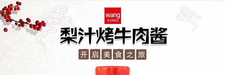 wang-korean-bbq-beef-sauce-480g-1