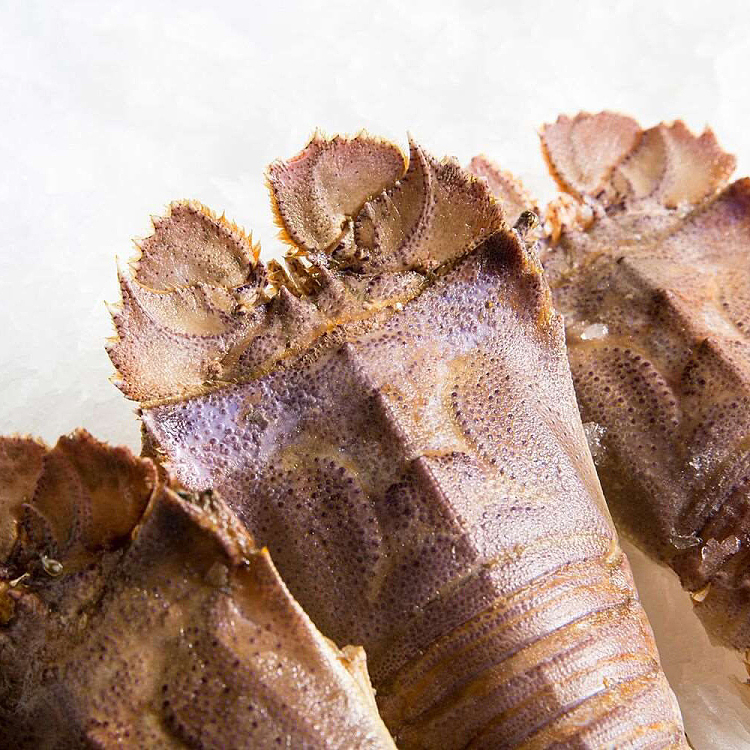 frozen-moreton-bay-crayfish-halved-moretonbaybugsraw1kg-1