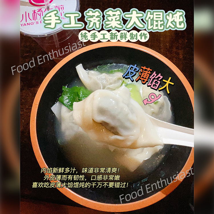 freezesiu-yeungs-pan-fried-shepherds-purse-and-fresh-meat-large-wonton-about-300g-1