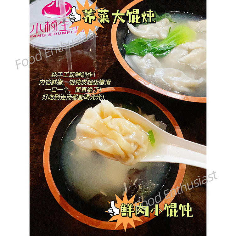freezesiu-yeungs-pan-fried-shepherds-purse-and-fresh-meat-large-wonton-about-300g-2