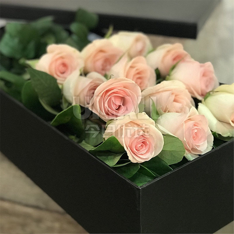 roseco-pink-rose-box-24pcs-1
