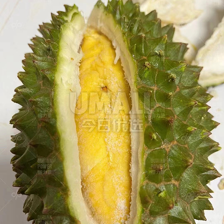 frozen-musang-king-durian-available-in-15-different-specifications-3
