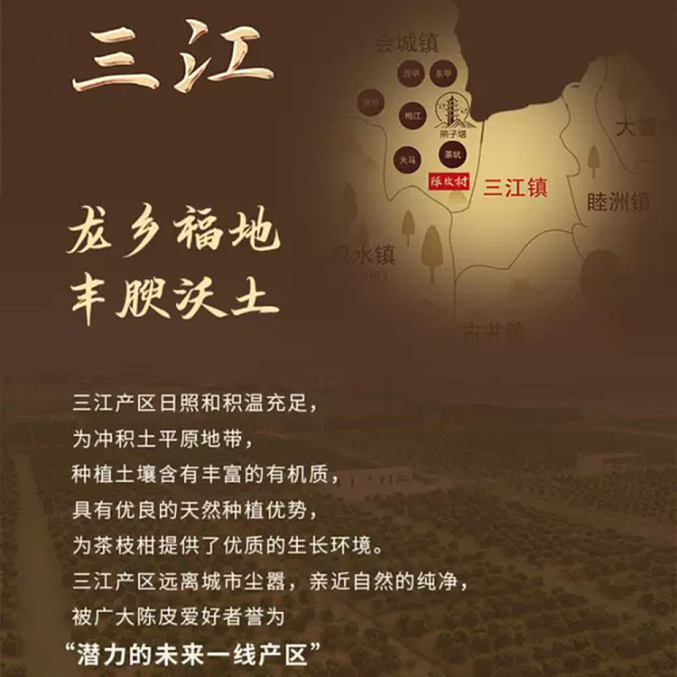 tea-sharing-2008-sanjiang-xinhui-chen-pi-200g-2
