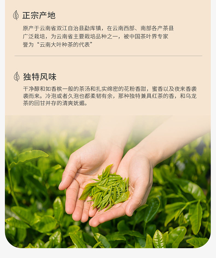 tea-sharing-oriental-beauty-80g-7