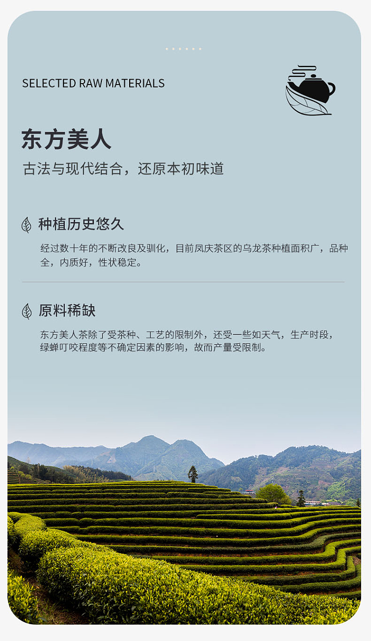 tea-sharing-oriental-beauty-80g-8