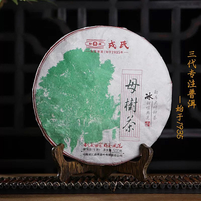 茶分享 2020年母树茶 生普 500g