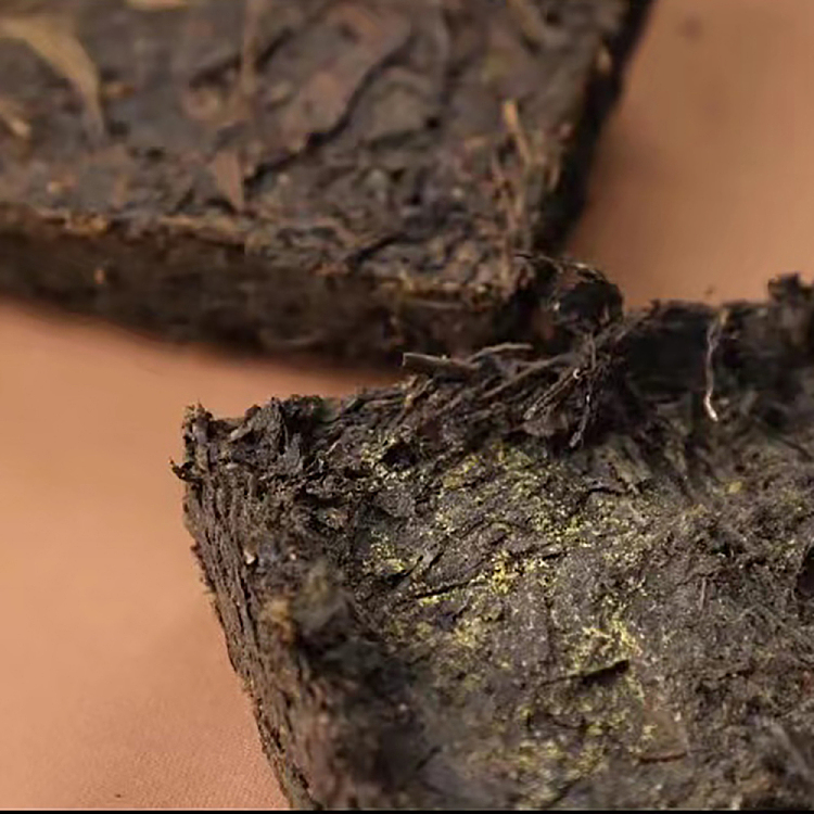 tea-sharing-2015-guangxi-liubao-tea--golden-flower-tea-brick-960g-2